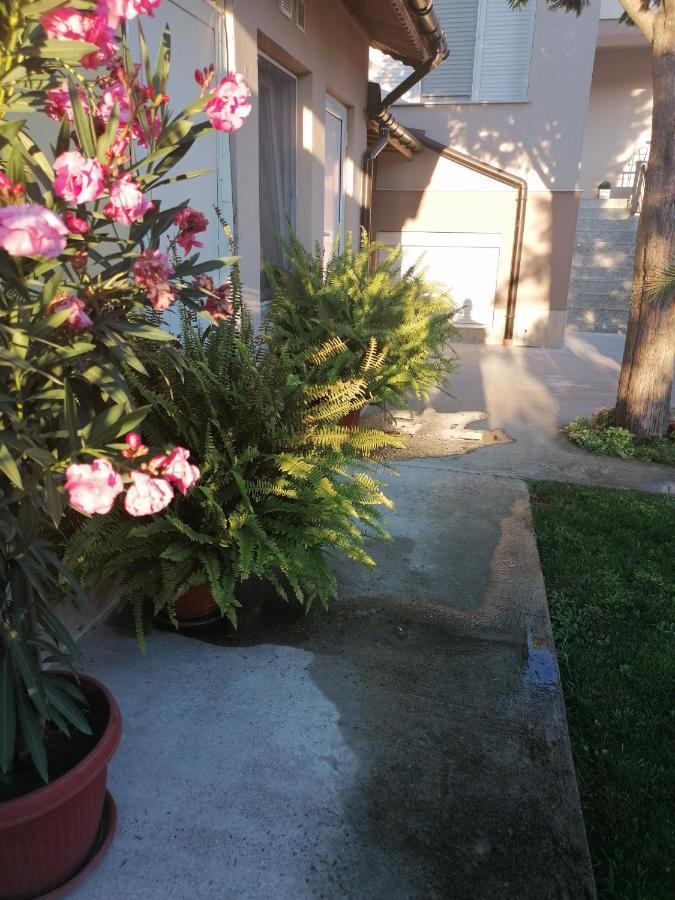 סבילנגראד Villa Ros Guest House מראה חיצוני תמונה