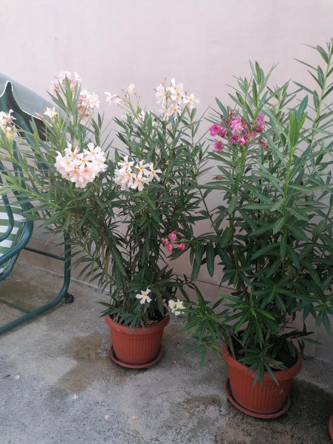 סבילנגראד Villa Ros Guest House מראה חיצוני תמונה
