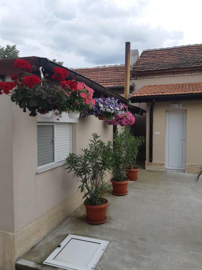 סבילנגראד Villa Ros Guest House מראה חיצוני תמונה