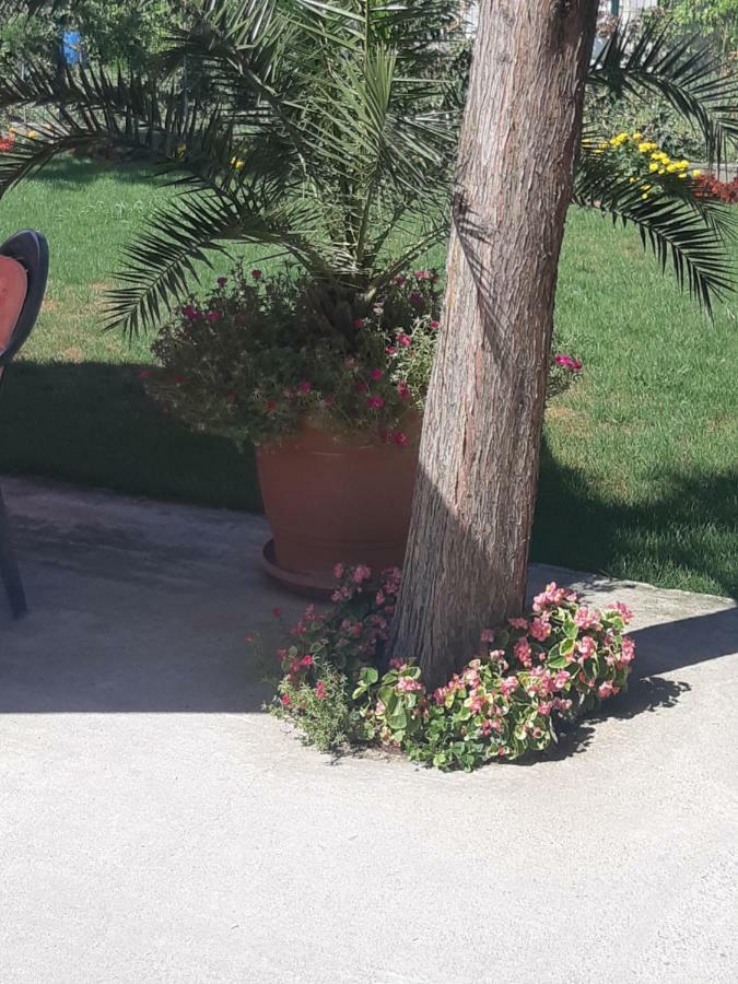 סבילנגראד Villa Ros Guest House מראה חיצוני תמונה