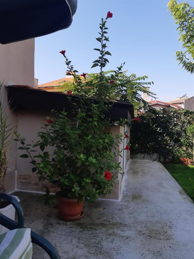 סבילנגראד Villa Ros Guest House מראה חיצוני תמונה