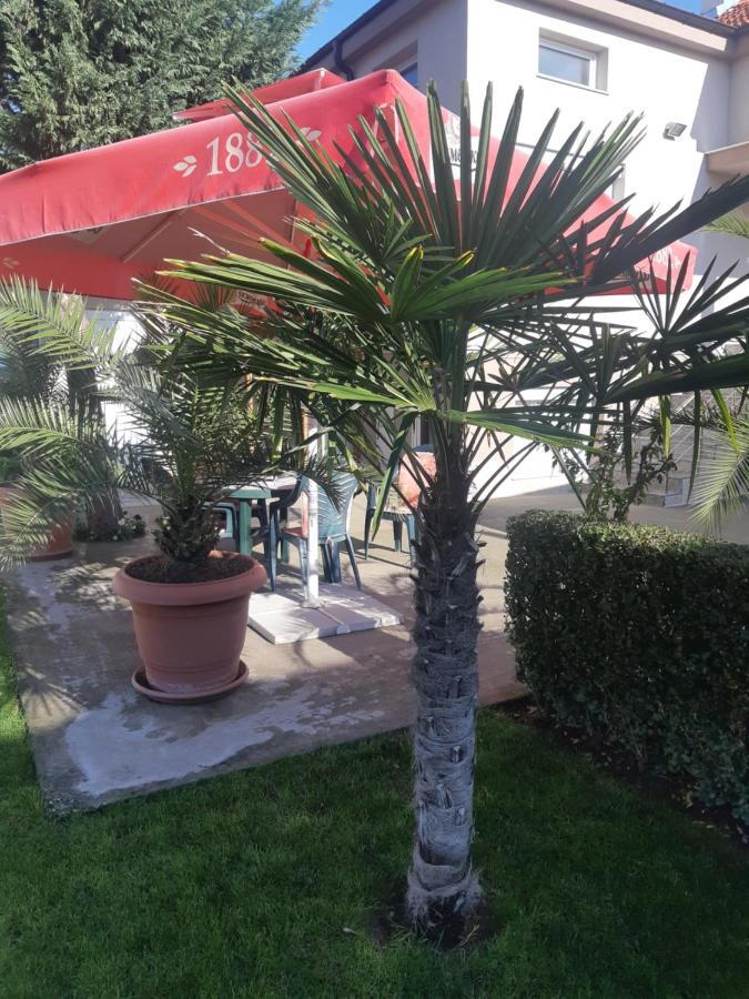 סבילנגראד Villa Ros Guest House מראה חיצוני תמונה